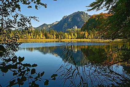 Landschaft rund um den Alatsee bei Füssen